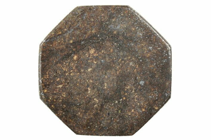 Stony Chondrite Cabochon ( g) - Meteorite #238224
